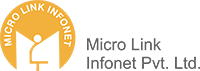 MicroLink Infonet PVT Ltd. Logo